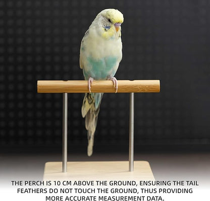 NEOUZA Perch-Mounted Pet Bird Scale, Parrot Weight Scale with Perch, Weight Change Monitoring, Suitable for Parrot, Canaries, Budgerigars, Cockatiels, Society Finches