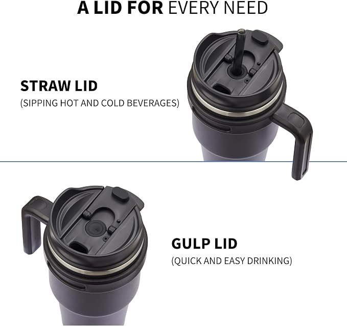 20 oz Insulated Coffee Mug Tumbler with Handle, Stainless Steel Travel Mug Tumbler with Lid and Straw,Double Wall Vacuum Leak Proof Ice Coffee Thermal Cup,Sage