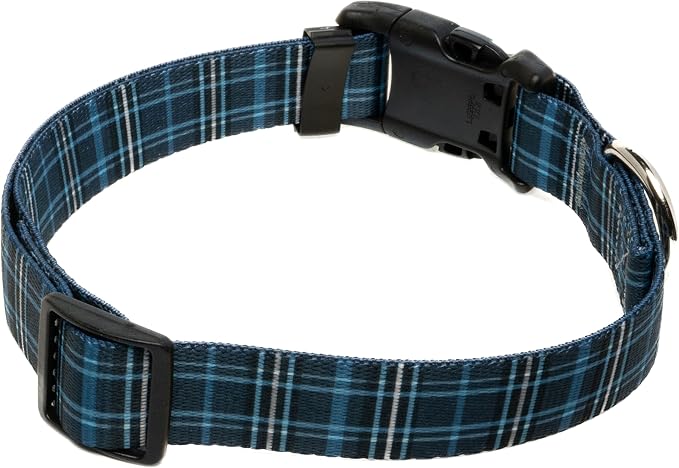 Country Brook Petz - Navy Plaid Everyday Dog Collar and Leash - Plaid and Argyle Collection Featuring Charming Designs (1 Inch, Large)