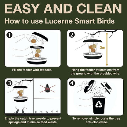 SWISSINNO Bird Feeders - No Mess Fat Ball/Suet Feeder for Outdoors Hanging - Smart Birds Lucerne Spill Proof Wild Cardinal Bird Feeder with Integrated Seed Catcher Tray - Sage