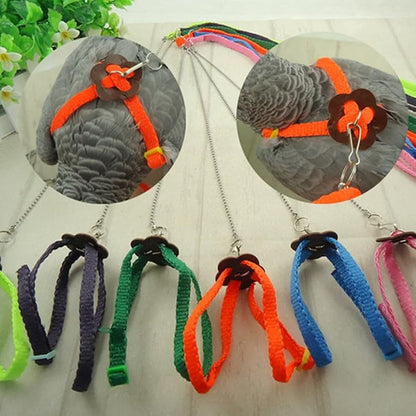 Pet Bird Harness Leash, Adjustable Parrot Flying Rope, Bright Color for Parrots, Pigeons, Lovebird, Outdoor Training, Anti-Flyaway, Green, Purple, Pink, Blue, Orange, 0.8x120cm/0.31x47.24''