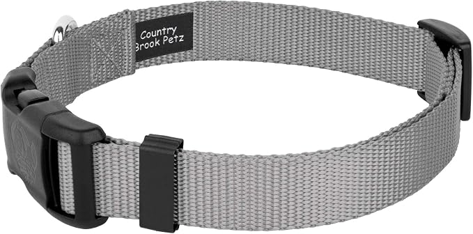 Country Brook Petz - Everyday Nylon Dog Collar and Leash - 10+ Cool Colors (1 Inch, Large, Silver)
