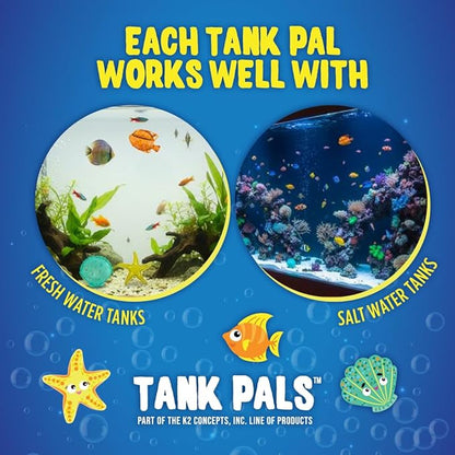 Clarence the Clarifier Fish - 1 pk, Orange - Aquarium Treatment, Clear Cloudy Fresh-Saltwater, Fish-Plant Safe, 10gal Tank Maintenance Each