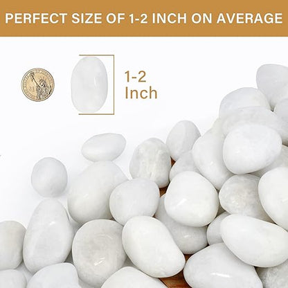 NUPICK 6lb White River Rocks for Plants Indoor, 1-2Inch Pebbles for Vases Fillers, Decorative Gravel for Fish Tank, Natural Polished Stones for Succulent, Bonsai, Landscaping, Bird Baths