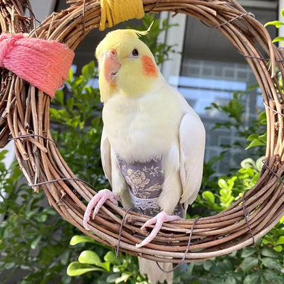 Bird Flight Suits Diapers, Parrot Flight Suits Diapers for Quaker Parakeets Cockatiels Conures Macaw African Grey, Bird Diaper, Parrot Clothes (Pink B,2XL)