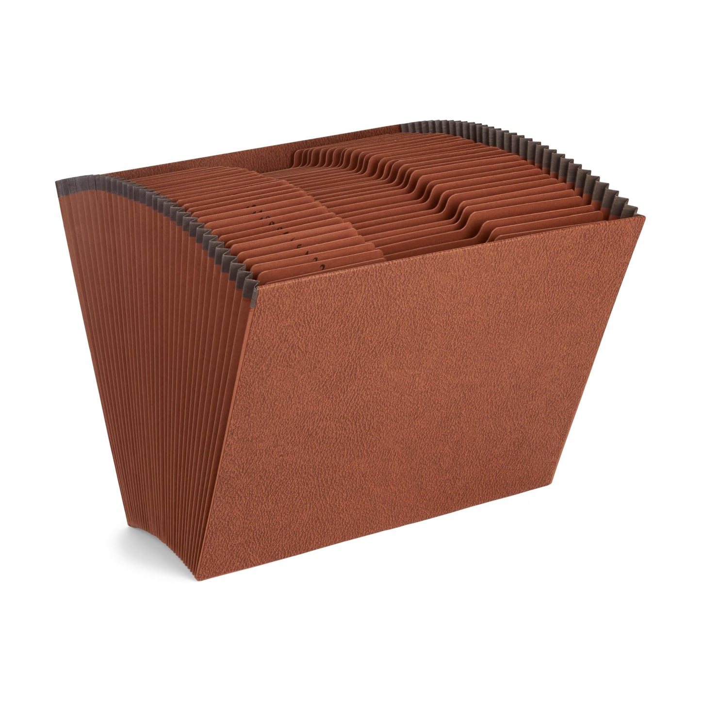 Blue Summit Heavy Duty Accordion File Organizer, Expanding File, Open Top, Letter Size, 31 Day File Organizer with 31 Pockets
