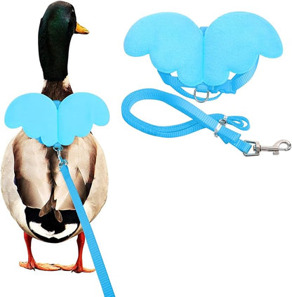 KAMA BRIDAL Duck Walking Harness and Leash Chicken Duck Outdoor Training Rope Adjustable Rope for Pet Poultry Hen Cock (XS, Blue)