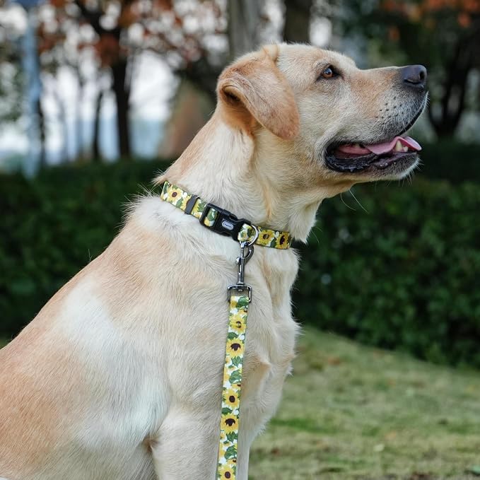 Dog Collar Leash Set, Floral Pattern, 5ft Matching Leash, Polyester Material, 4 for Small Medium Large Dogs.(XS, Sunflower)