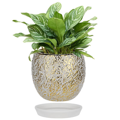 Ceramic Plant Pots for Plants Indoor 5.3 Inch Round Gold and White Flower Pot Gilded Decorative Planter with Drainage Hole and Saucer Modern Ceramic Pot for Succulents Orchids Cactus Herbs Home Decor