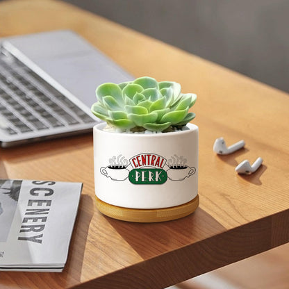 Ywkuiev Succulent Planter, Flower Cactus Plant Pot, Friends Merchandise, Funny Friendship Decor Themed Gifts for Men Women Best Friends Bestie Sister Housewarming Gift (Plants Not Included)