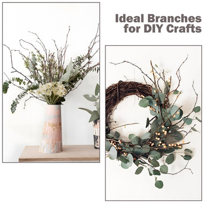 Ruidazon 200 Pcs Real Dried Birch Branches, 17 Inch Natural Birch Twigs Tall Birch Tree Sticks for Decorative Vases, Crafts, DIY Floral Arrangements Wreath Wedding Centerpiece Home Decor