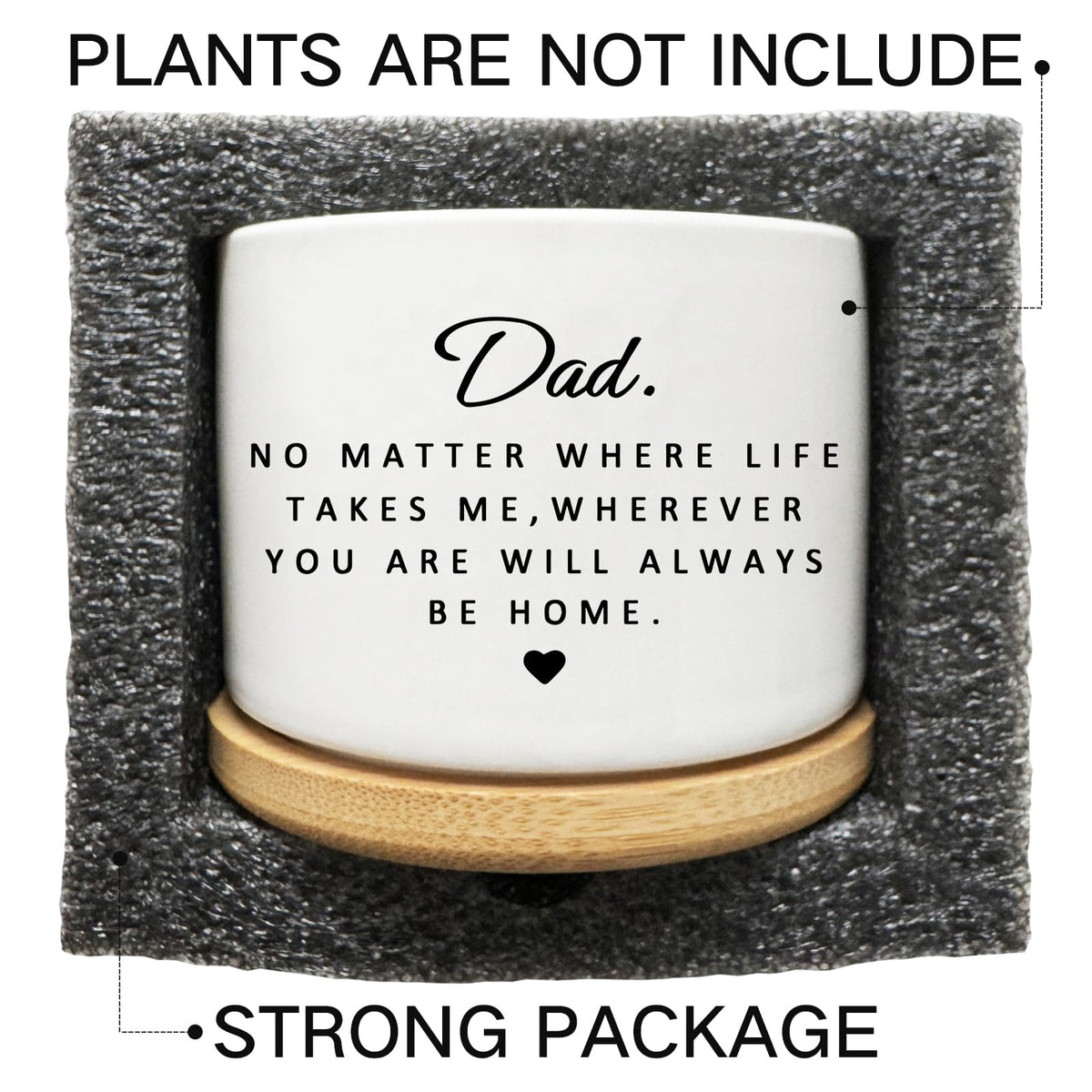 Arosedmo Succulent Planter Pot for Dad - Cute 3 Inch Plant Dad Gift from Daughter or Son with Bamboo Tray, Best Fathers Day Birthday Gardening Gifts for Dad, Grandpa, Husband