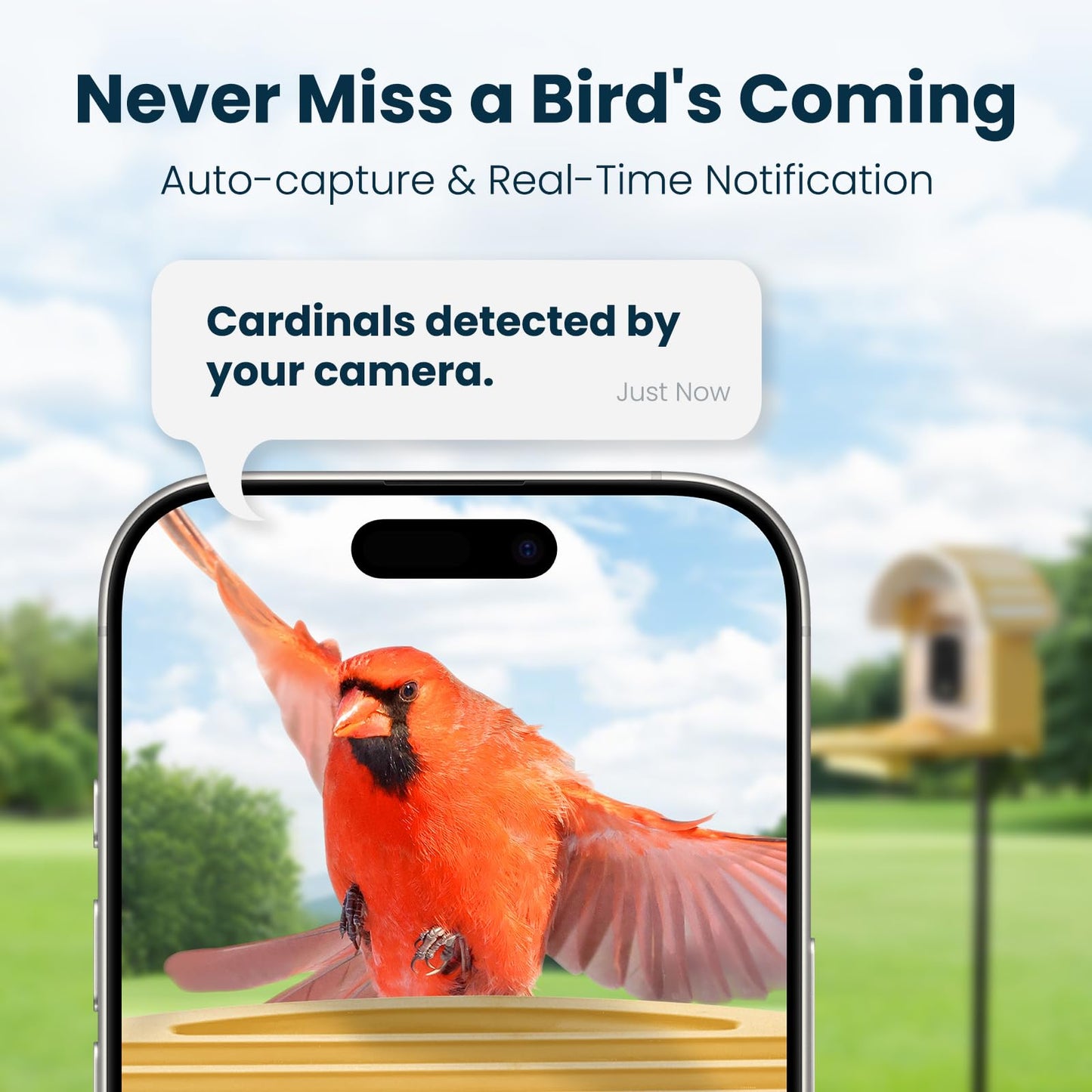 Smart Bird Feeder with Camera, Yellow