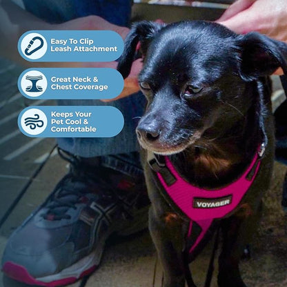 Voyager Step-in Pet Harness - All Weather Mesh, Adjustable Step in Harness for Cats and Dogs by Best Pet Supplies - Fuchsia/Black Trim, M