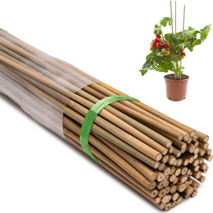Taoskai 70 Pcs Bamboo Stakes, 3 Feet Natural Bamboo Garden Stakes for Plant, Garden Bamboo Plant Sticks for Plants Support, Tomato, Beans, Vegetable and Climbing Plants