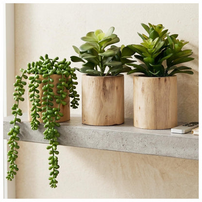 VINSUNI Artificial Succulents with Pots - Set of 3 Small Fake Plants for Aesthetic Room Decor - Realistic Mini Faux Greenery for Office Desk, Bookshelf, and Bathroom - Modern Home Accents