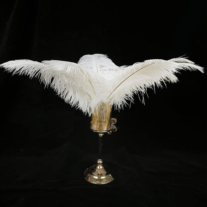 Happy Feather 16-18 inch White Ostrich Feathers Craft for Wedding Party centerpieces Home Decoration DIY Craft Pack of 10