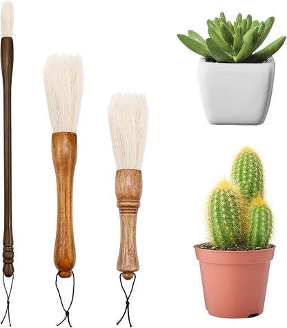 Cactus Plants Cleaning Brushes, Wooden Handles