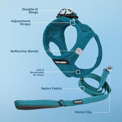 Best Pet Supplies Voyager Step-in Air All Weather Mesh Harness and Reflective Dog 5ft Leash Combo with Neoprene Handle, for Small, Medium and Large Breed Puppies - Turquoise, XX-Small
