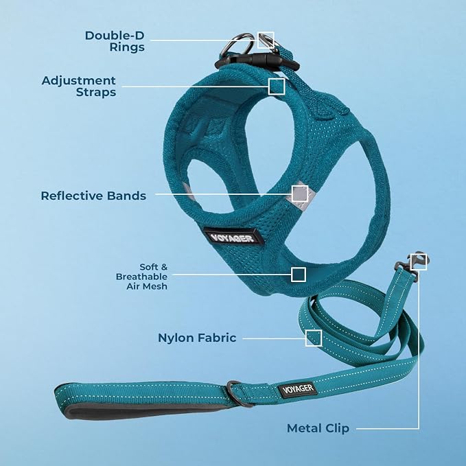 Best Pet Supplies Voyager Step-in Air All Weather Mesh Harness and Reflective Dog 5ft Leash Combo with Neoprene Handle, for Small, Medium and Large Breed Puppies - Turquoise, Large