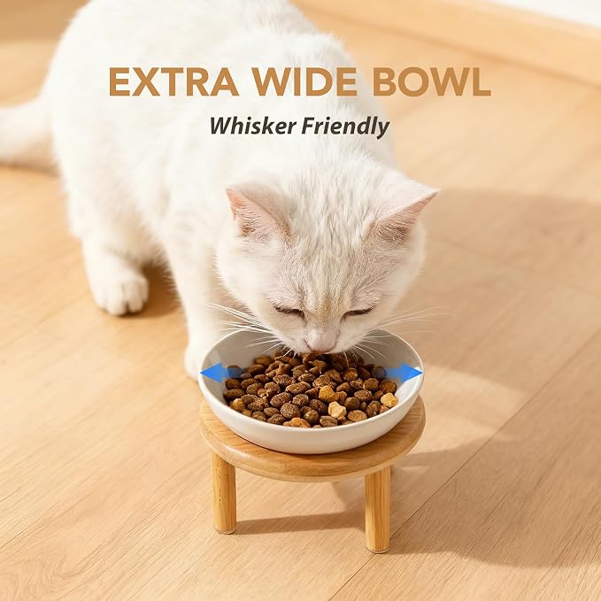 Havniva Elevated Cat Bowls Raised Ceramic Cat Bowl, 5.7” Wide Opening Cat Food Bowl Whisker Friendly Cat Dish Anti-Slip with Bamboo Stand, Shallow Pet Food & Water Bowl for Indoor Cats