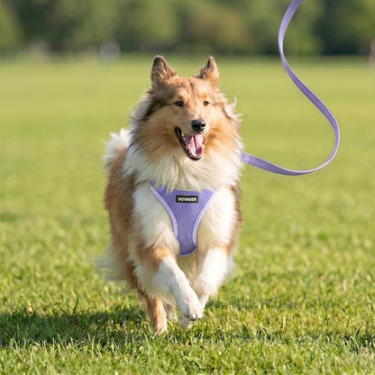 Best Pet Supplies Voyager Step-in Air All Weather Mesh Harness and Reflective Dog 5ft Leash Combo with Neoprene Handle, for Small, Medium and Large Breed Puppies - Lavender, S