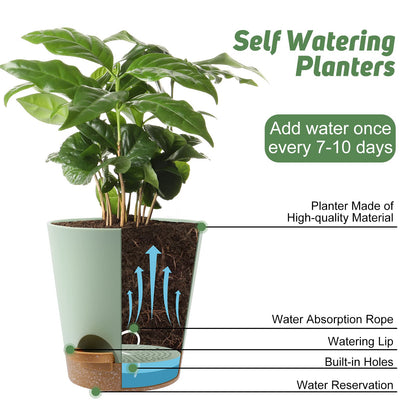 YNNICO Indoor Self Watering Planters with Drainage Holes and Saucers, 8, 7, 6.5, 6, 5.5, 5 Inches, Green, 6 Pots.