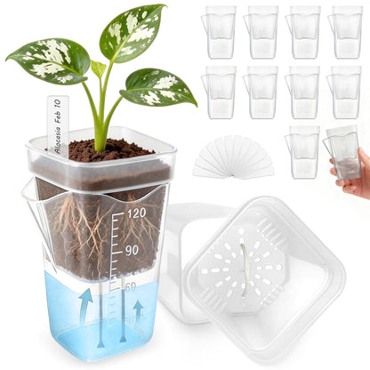 10 Pack 2" Small Self Watering Pots for Indoor Plants, Clear Mini Plastic Planter with Labels,Water Level Indicator, ,Mini Self Watering Pot for African Violet,Semi-Hydro,Propagation,Seeding,Cutting