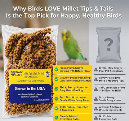 1lb Millet Tips & Tails for Birds - Parakeets, Cockatiels, Lovebirds, Finches, Budgies, Canaries, Cockatoos - Natural & Healthy Millet for Birds - Parakeet Food & Treats for All Parrots (2 Pack)