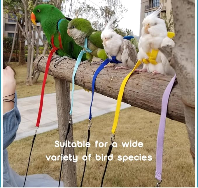 Adjustable Bird Harness with Elastic Leash, Pet Parrot Harness and Leash, Adjustable Training Design Anti-Bite, Bird Nylon Rope with Cute Wing for Conure (Orange,Macaw)