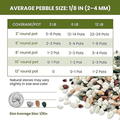 1/8 Inch Natural Aquarium Gravel, Small Pebbles for Fish Tank, Indoor Plants & Succulents, Mixed Color Mini River Rocks for Drainage, Terrarium, Top Dressing & Vase Filler, 3 lb