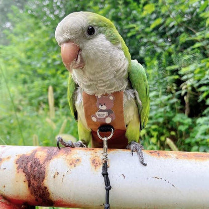 Bird Diaper Harness Flight Suit Clothes, Parrot Flight Suit with Leash for Parrot, Bird Flying Clothes with Rope and Handle for Outdoor Activities Training (Quaker,Without Leash)