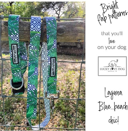 Lucky Love Dog Martingale Collar and Leash Set, Premium No Slip Martingale Collar for Small Boy Dogs, Great for Whippets, Greyhounds, and More (Small, Blue Laguna - Combo)