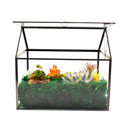 Large Glass Plant Terrarium – House Succulent Glass Terrarium Kit with Lip Glass Greenhouse Terrarium for Plant 12.26X9.15X10.9inch (Black 2)
