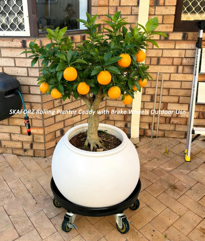 SKAFORZ Rolling Planter Caddy(430lbs Capacity), Heavy Duty Metal Plant Stand with Brake Wheels Plant Dolly Mover Plant Pot Tray Saucer for Indoor Outdoor 16 Inches Black 2Pack