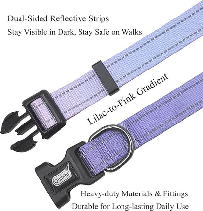 Dog Collar Leash Set, Gradient Color, with Safety Reflective Strips, 5 ft Matching Leash, Neoprene Padded Handle, Adjustable 4 Sizes for Small Medium Large Dogs.(L, Lilac Pink)