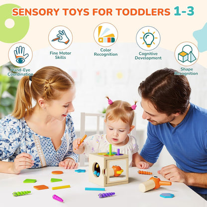 Paisure 5-in-1 Wooden Activity Cube, Magnetic Bird Feeding Toy