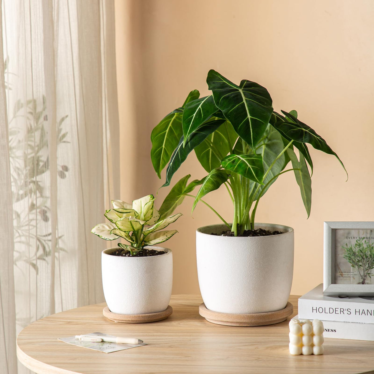 POITONRU Ceramic Flower Pots Indoor-Outdoor: 7.75 Inch Large Planters with Drainage Holes & Saucer - Modern Decorative Plant Pots Ceramic for Home Gardeners (White)