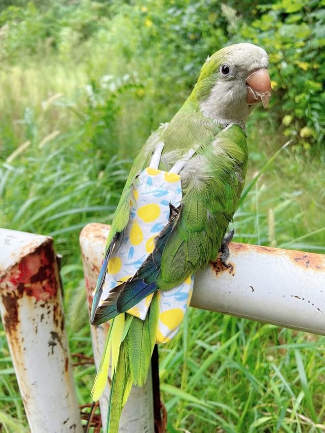 Bird Diaper Harness Flight Suit Clothes, Parrot Flight Suit with Leash, Bird Flying Clothes with Rope and Handle for Outdoor Activities Training (Yellow with Leash,Large)