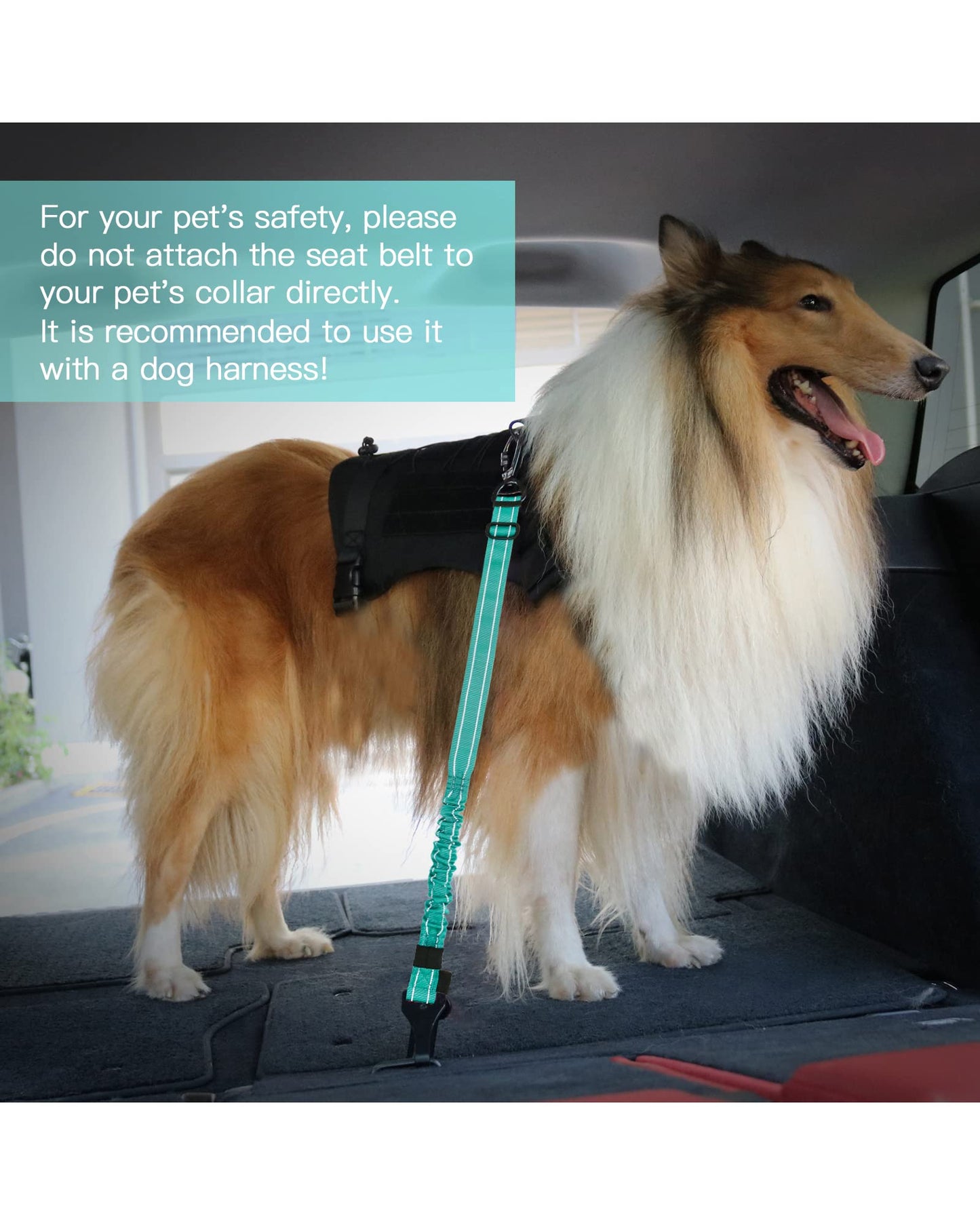 AUBELL Dog Seat Belt for Car,Updated 3-in-1 Adjustable Reflective Bungee Heavy Duty Dog Car Harness Tether with Clip Hook Latch & Buckle,Swivel Zinc Alloy Carabiner,Teal