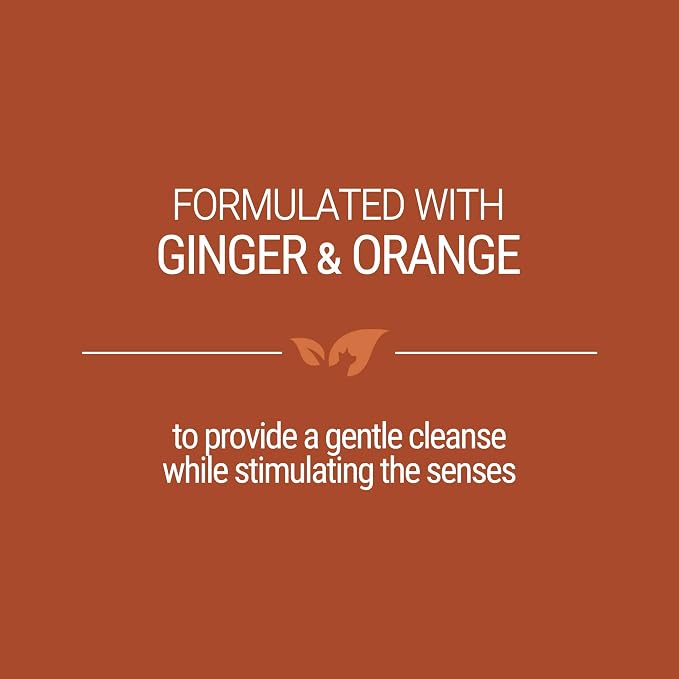 Green Groom Ginger Orange Aromatherapy Dog Shampoo, 1 Gallon | All Natural Ingredients, Ginger Orange Essential Oils, Adds Vibrant Shine, Calming and Relieves Tension