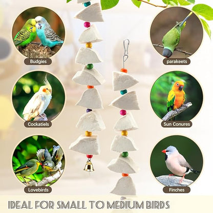 2 Pack Bird Cuttlebone Chew Toys, Cuttlefish Bone for Birds Beak Grinding Stone, Natural Calcium Supplement Cage Accessories for Parakeets, Budgies, Cockatiels, Lovebirds, Small Medium Birds