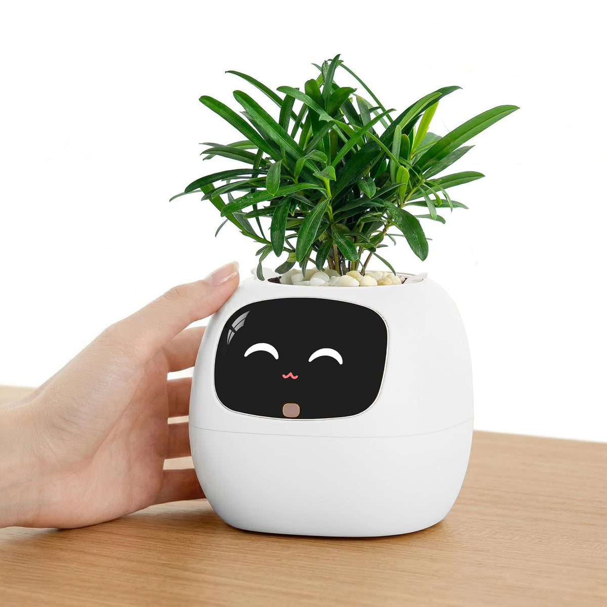 PLANTSIO Ivy Interactive AI Desk Companion, Smart Plant Pet with 100+ Expressions, Cute Indoor Planter for Office Decor, Unique Gift for Plant Lovers & Coworkers(Ivory)