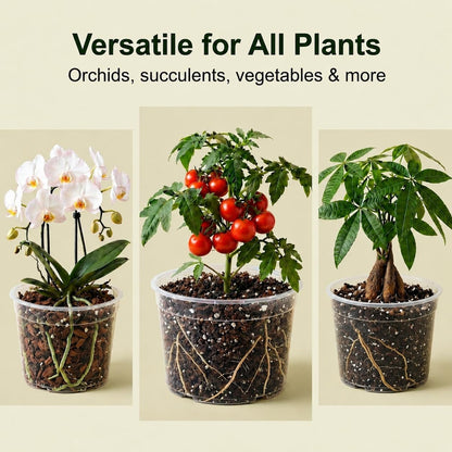 TAQIXI 2 Gallon Clear Nursery Pots 15 Pack, 8 Inch Large Plastic Plant Pots with Drainage Holes, Transparent Planters for Root Monitoring, Seedlings, Vegetables, Flower, Indoor Outdoor