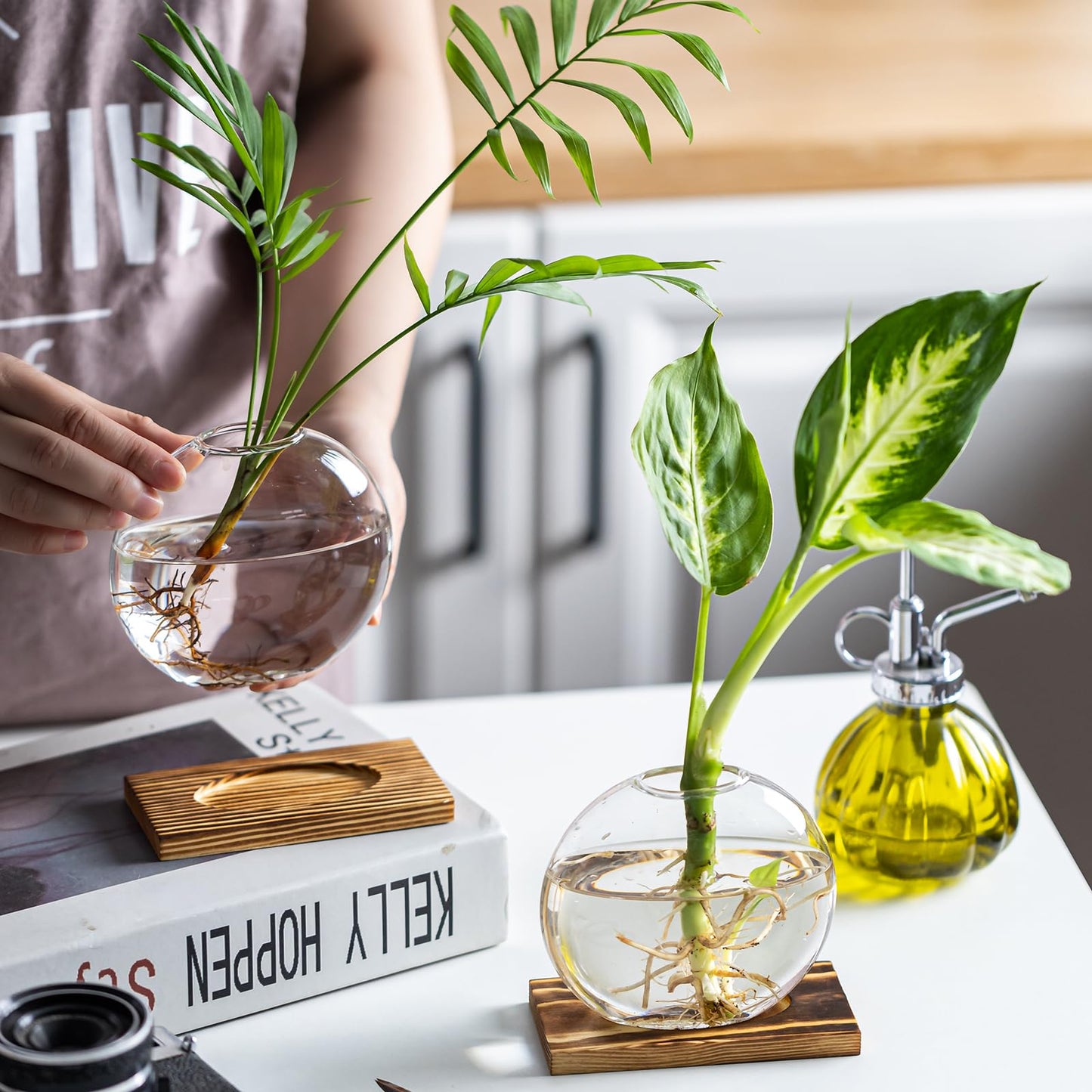 wangsdjy Glass Planter Propagation Station with Wooden Base - Clear Oblate Hydroponic Vase, Decorative Desktop Flower Vase for Home, Office, Windowsill - Gift for Plant Lovers (4)