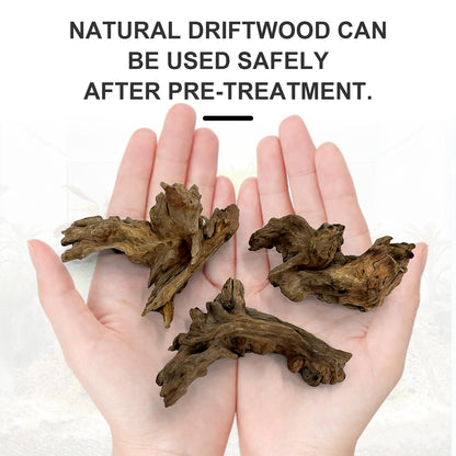 Obantrsz Aquarium Driftwood Decor Set - 1 Anubias Resin Model & 3Pcs Small Natural Driftwood 2-4 inch for Aquascaping, Fish Tank Landscape Design