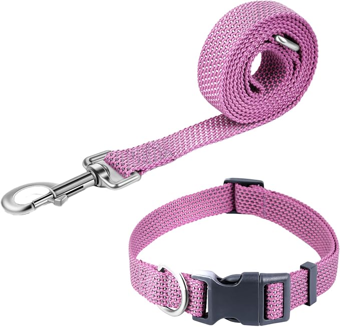 Reflective Dog Collar and Leash Set, Nylon Dog Leash with Heavy-Duty Steel D-Ring, Adjustable with Quick Release Buckle for Small Dogs, Purple S