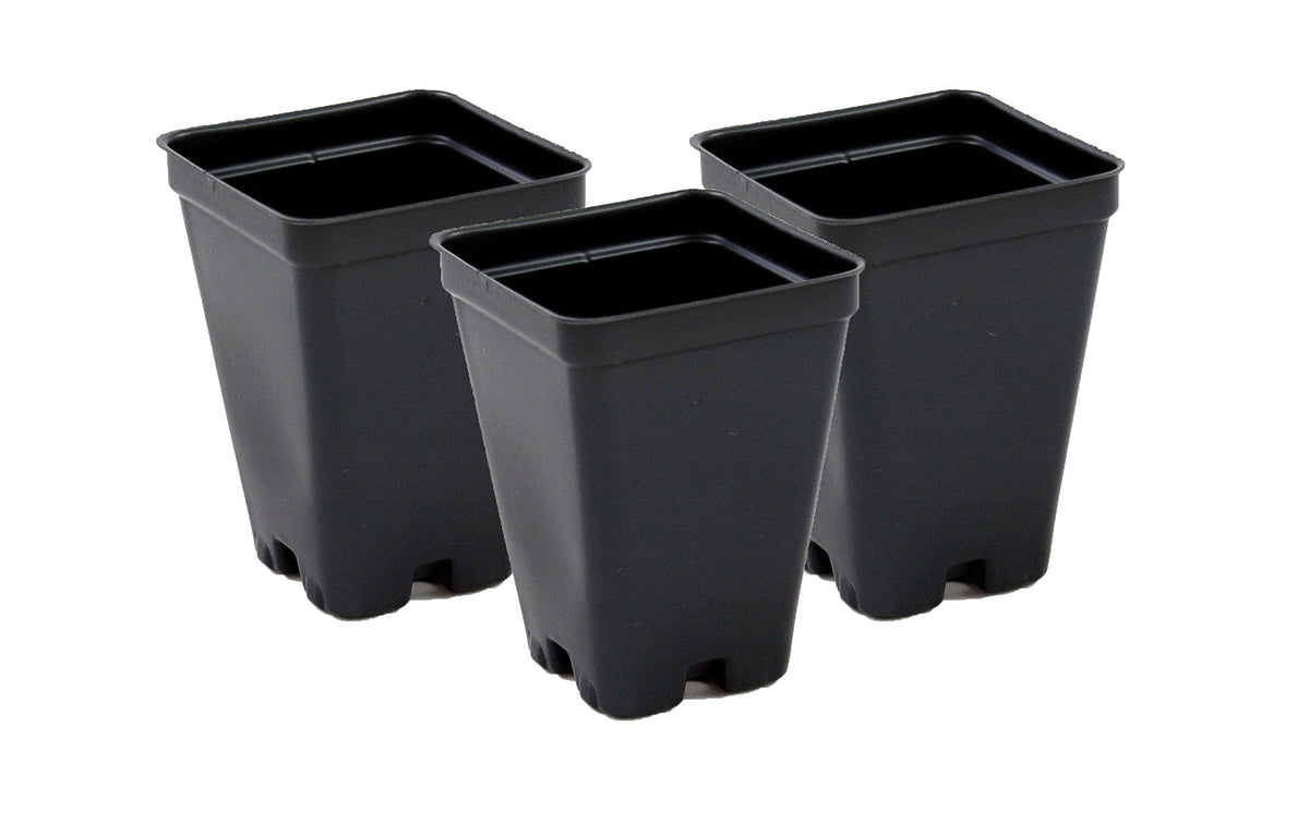 2.5 inch Square Greenhouse Pots - Black - Plastic - Deep - 25 Pack by Growers Solution