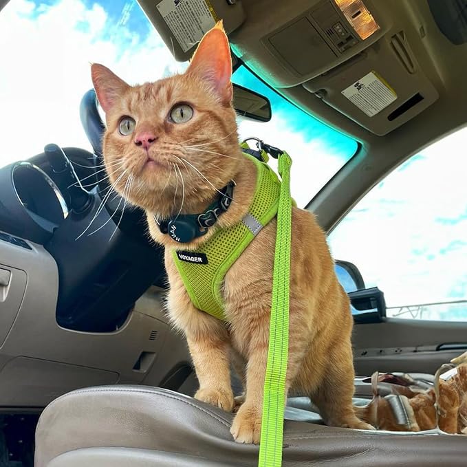 Best Pet Supplies Voyager Step-in Air All Weather Mesh Harness and Reflective Dog 5ft Leash Combo with Neoprene Handle, for Small, Medium and Large Breed Puppies - Lime Green, XX-Small
