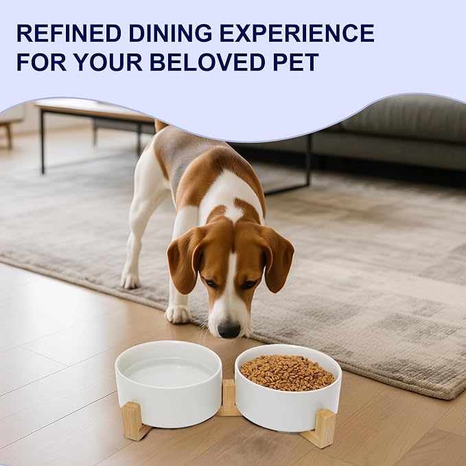 Dog Food Bowl, 28.7 oz Ceramic Modern Design, Dog Water and Food Bowl with Wood Stand, for Puppy & Cat, Non-Slip Feeding Station with Weighted Base, White